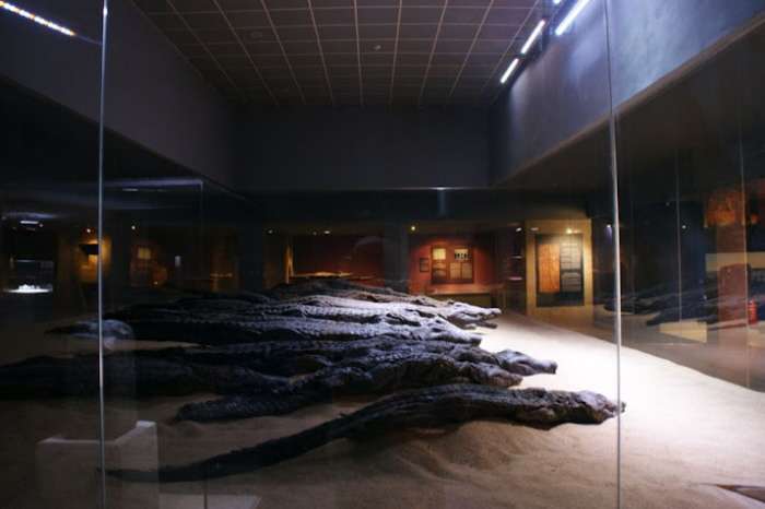 En Dahabiya, por el Nilo, con otros ojos - Blogs de Egipto - 5to.Dia. Museo del cocodrilo en Kom Ombo (23)